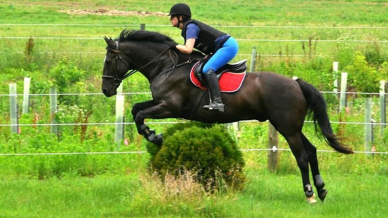 cross country course